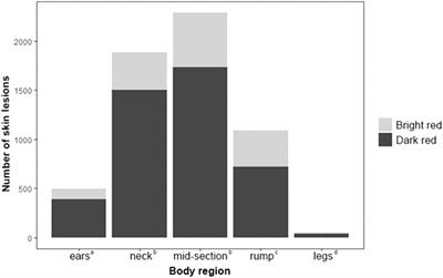 Assessment of slaughterhouse-based measures as animal welfare indicators in fattening pigs